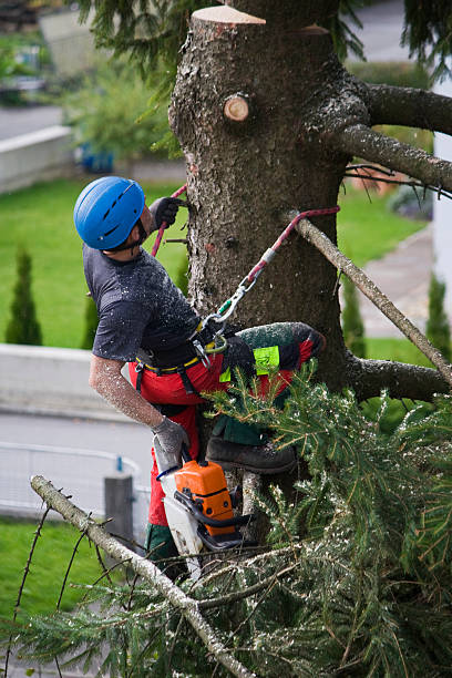 Best Arborist Consultation Services  in Fort Knox, KY